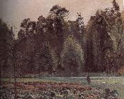 Camille Pissarro Schwarz Metaponto to the cabbage Sweden oil painting artist